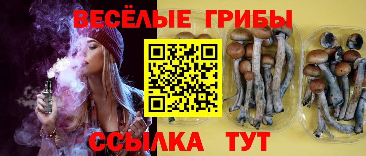 Донецк  Псилоцибиновые грибы Psilocybe  магазин продажи   Вход с VPN 