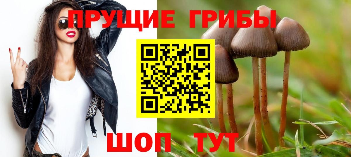 Псилоцибиновые грибы Psilocybine cubensis Донецк
